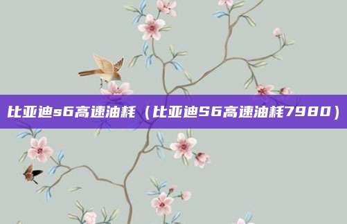 比亚迪s6高速油耗(比亚迪S6高速油耗7980)