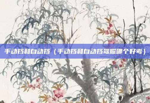 手动挡和自动挡(手动挡和自动挡驾照哪个好考)