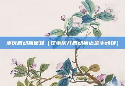 重庆自动挡便宜(在重庆开自动挡还是手动挡)