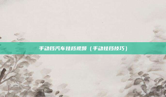 手动挡汽车挂档视频(手动挂挡技巧)