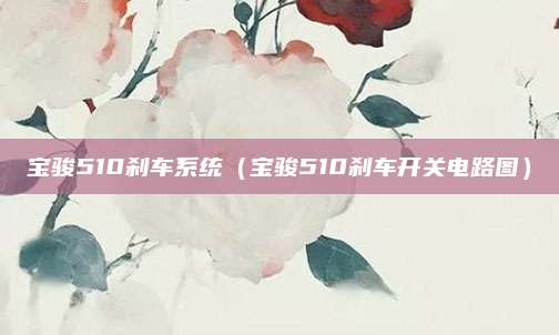 宝骏510刹车系统(宝骏510刹车开关电路图)