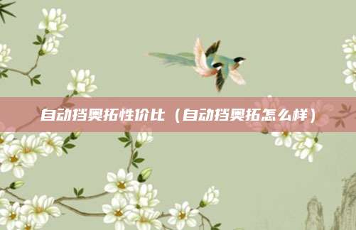 自动挡奥拓性价比(自动挡奥拓怎么样)
