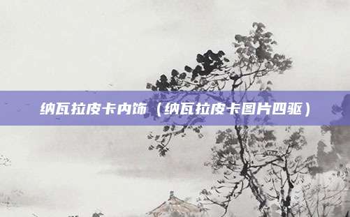 纳瓦拉皮卡内饰(纳瓦拉皮卡图片四驱)