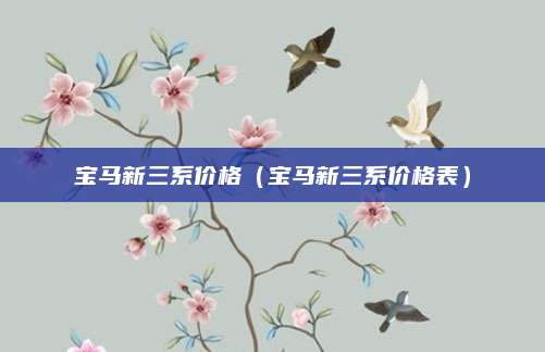 宝马新三系价格（宝马新三系价格表）