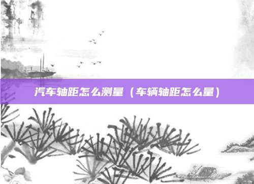 汽车轴距怎么测量(车辆轴距怎么量)
