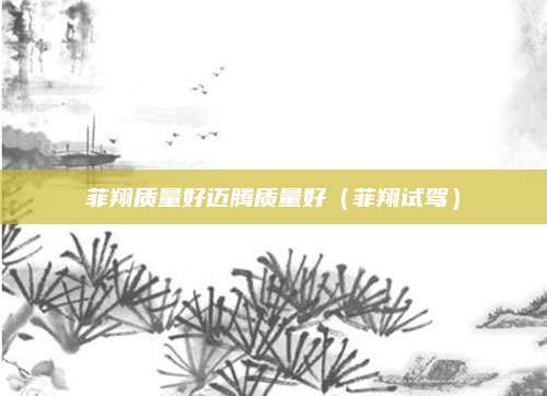 菲翔质量好迈腾质量好(菲翔试驾)