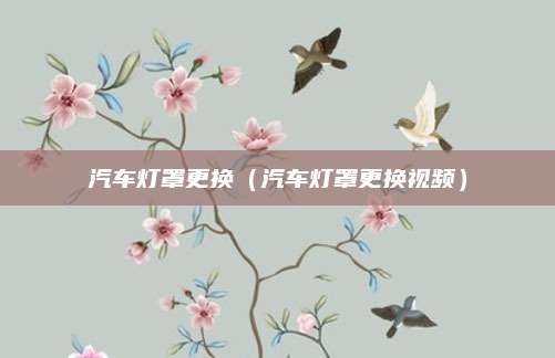 汽车灯罩更换(汽车灯罩更换视频)