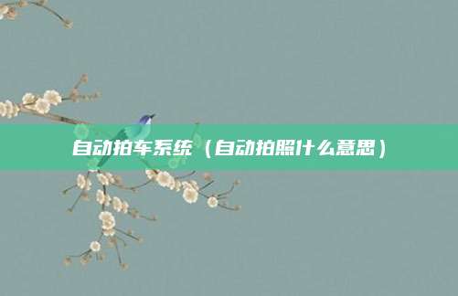 自动拍车系统(自动拍照什么意思)