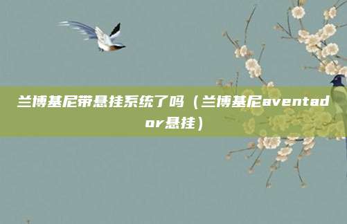 兰博基尼带悬挂系统了吗(兰博基尼aventador悬挂)