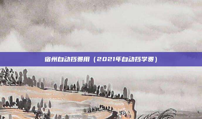 宿州自动挡费用(2021年自动挡学费)