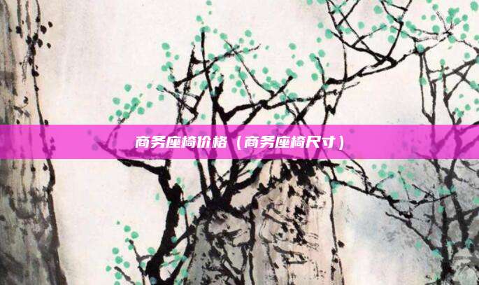 商务座椅价格(商务座椅尺寸)