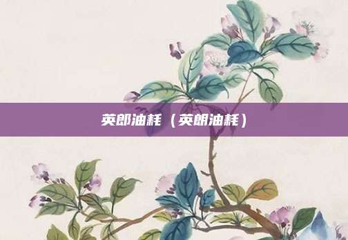 英郎油耗(英朗油耗)