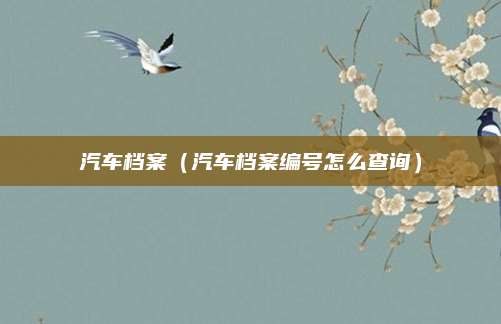 汽车档案(汽车档案编号怎么查询)
