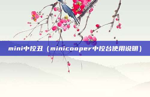 mini中控丑（minicooper中控台使用说明）