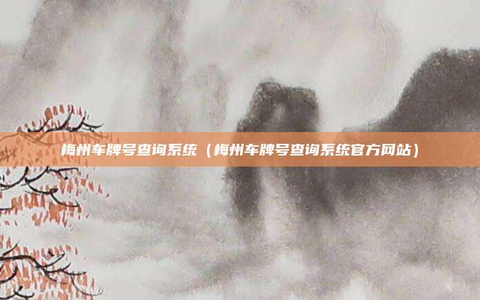 梅州车牌号查询系统(梅州车牌号查询系统官方网站)