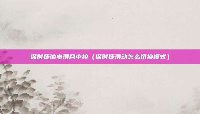 保时捷油电混合中控（保时捷混动怎么切换模式）