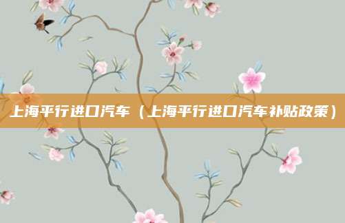 上海平行进口汽车（上海平行进口汽车补贴政策）