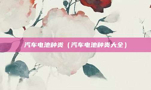 汽车电池种类（汽车电池种类大全）
