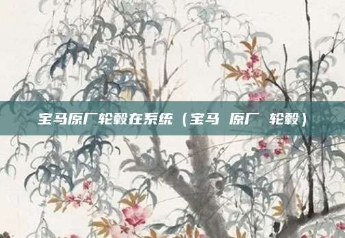 宝马原厂轮毂在系统(宝马 原厂 轮毂)