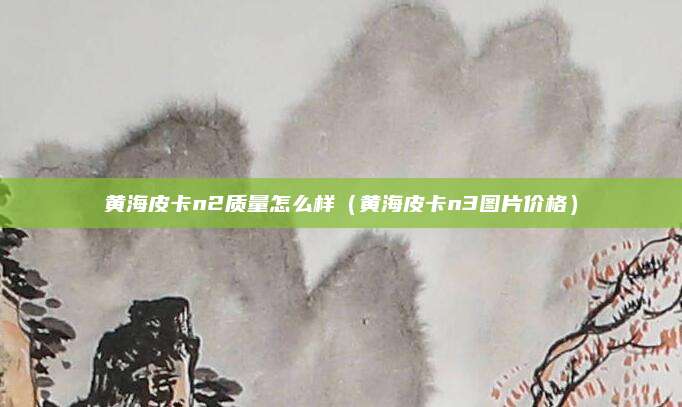 黄海皮卡n2质量怎么样(黄海皮卡n3图片价格)