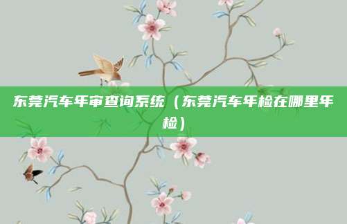 东莞汽车年审查询系统(东莞汽车年检在哪里年检)