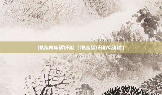 锐志内饰碳纤维（锐志碳纤维传动轴）