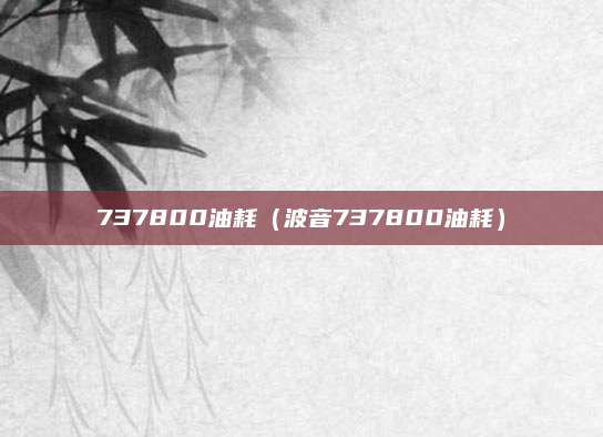 737800油耗(波音737800油耗)