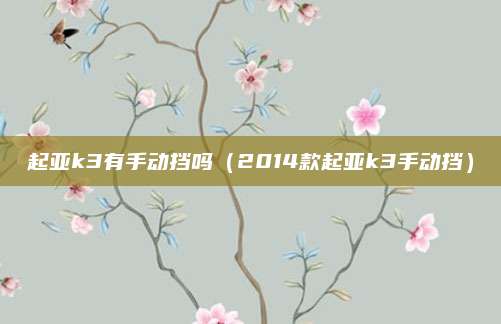 起亚k3有手动挡吗(2014款起亚k3手动挡)
