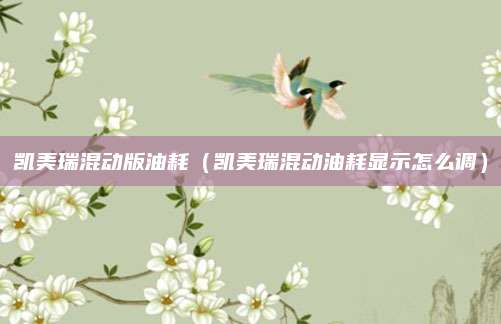 凯美瑞混动版油耗(凯美瑞混动油耗显示怎么调)