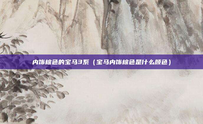 内饰棕色的宝马3系(宝马内饰棕色是什么颜色)