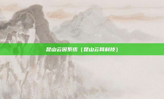 昆山云因系统（昆山云网科技）