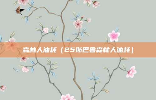 森林人油耗（25斯巴鲁森林人油耗）
