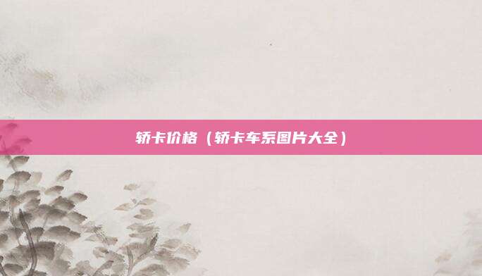 轿卡价格(轿卡车系图片大全)