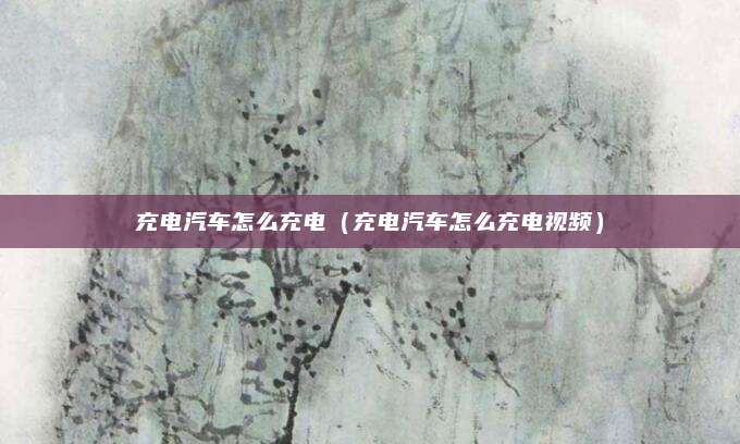 充电汽车怎么充电(充电汽车怎么充电视频)