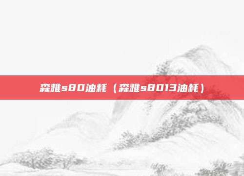 森雅s80油耗(森雅s8013油耗)
