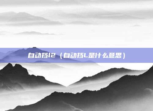 自动挡l2(自动挡L是什么意思)
