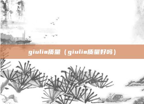 giulia质量(giulia质量好吗)