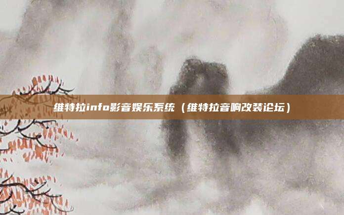 维特拉info影音娱乐系统(维特拉音响改装论坛)