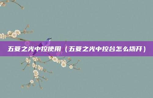 五菱之光中控使用(五菱之光中控台怎么撬开)