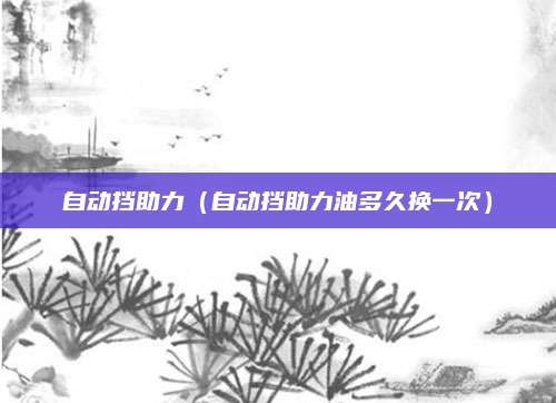 自动挡助力（自动挡助力油多久换一次）