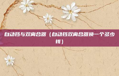 自动挡与双离合器(自动挡双离合器换一个多少钱)