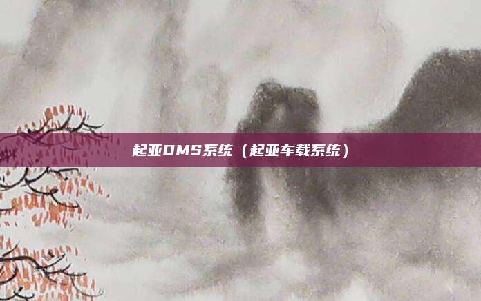 起亚DMS系统(起亚车载系统)
