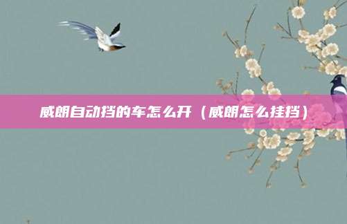 威朗自动挡的车怎么开(威朗怎么挂挡)