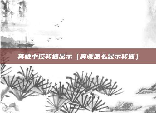 奔驰中控转速显示（奔驰怎么显示转速）