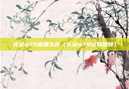 长安m70质量怎样(长安m70试驾视频)