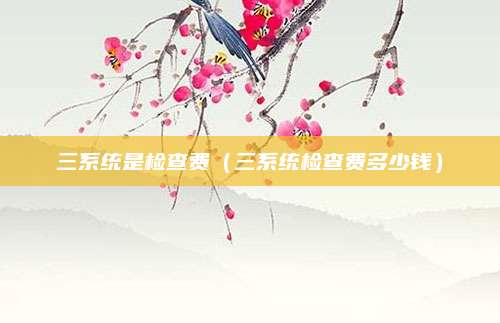 三系统是检查费(三系统检查费多少钱)