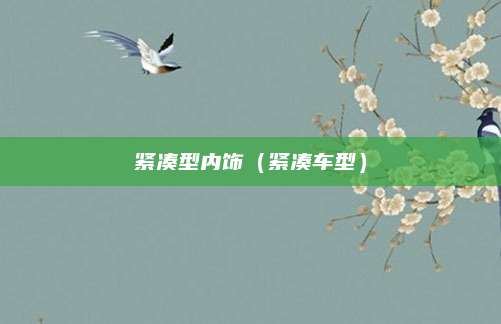 紧凑型内饰（紧凑车型）
