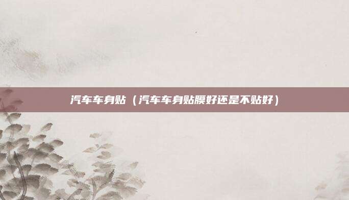 汽车车身贴（汽车车身贴膜好还是不贴好）