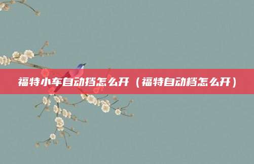 福特小车自动挡怎么开(福特自动档怎么开)