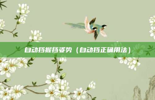 自动挡握挡姿势(自动挡正确用法)